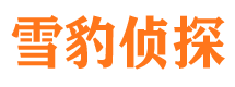 东源市私家侦探